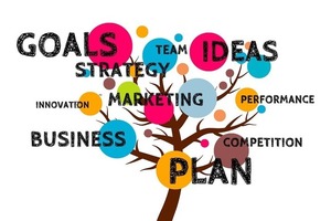 Action planning s300