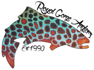 Rganglers s300