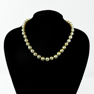 ILIANA South Sea Golden Cultured Pearl Necklace