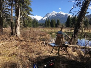 Edrobinson pleinaircanvas s300