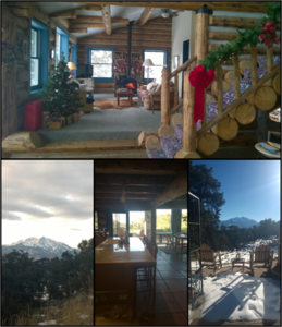 Burk cabin collage s300