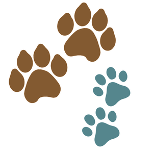 Paws s300
