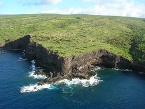 Hawai'i Hunting & Wildlife Watching Adventure