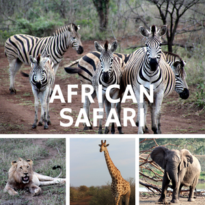 African Safari for 2