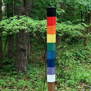 Diversity Pole