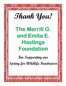 The Merrill G. and Emita E. Hastings Foundation