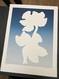 Jonquil II, 49/100, by Dean Hayes