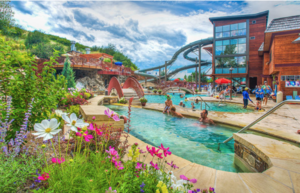 Old Town Hot Springs One Year Adult Membership