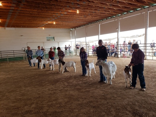 Teller County Association of Fairs and Shows