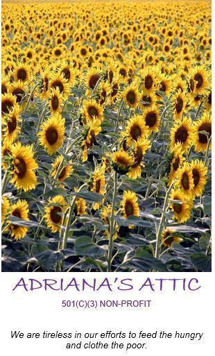 Adriana's Attic, Inc