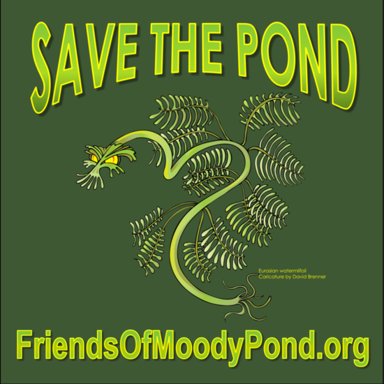 Friends of Moody Pond