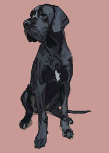 Fine Art Giclee Print of Great Dane