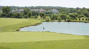 Green Fees for 4 Golfers w/Cart