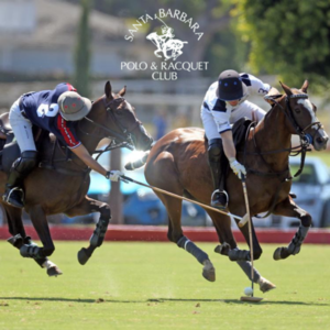 Exclusive Polo Experience