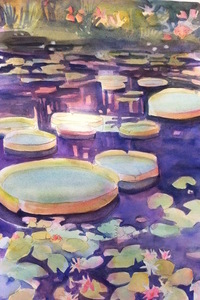 "Longwood Waterlilies II"