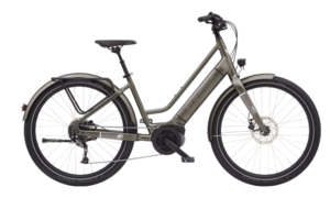 Electric Bike: Vale Go! 9D EQ Raffle Tickets