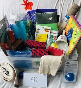 Therapy Basket