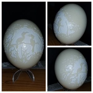 009 - Carved Ostrich Egg