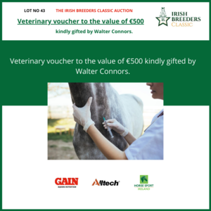 Lot 44 Veterinary voucher to the value of €500