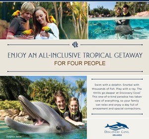 All-Inclusive Day at Discovery Cove-SeaWorld Parks