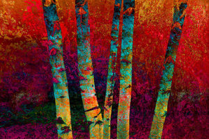 Red Birches Phototransformation