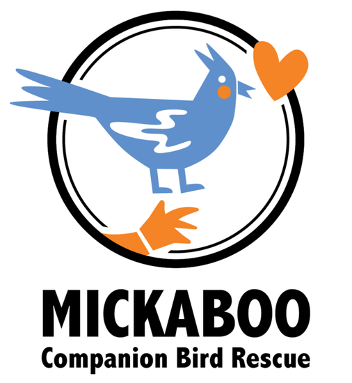 Mickaboo Companion Bird Rescue