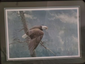 Robert Bateman Print