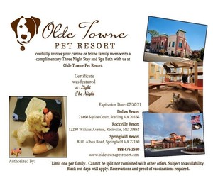 Olde Towne Pet Resort