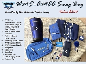 WMS-AMEC Swag Bag