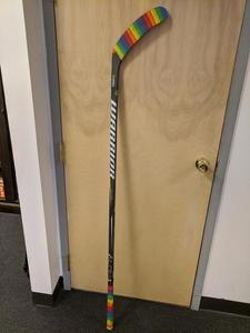 Buffalo Sabers Rainbow Hockey Stick