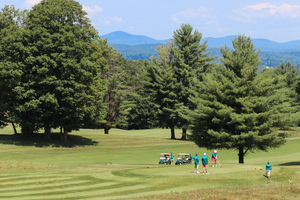 A day on the Greens plus lessons!