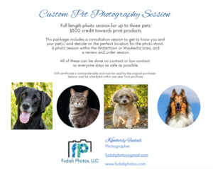 Custom Pet Photography Session