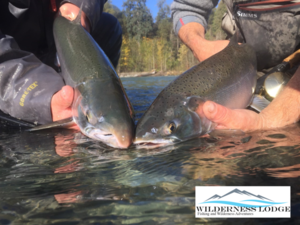 Pitt River Lodge - 3 nights and 2 day fishing