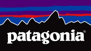 Patagonia Gift - Skateboard, books and backpack