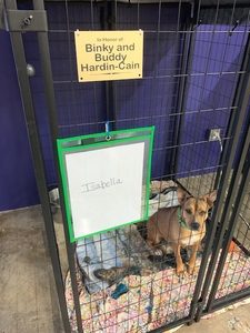 Dog Kennel Sponsorship