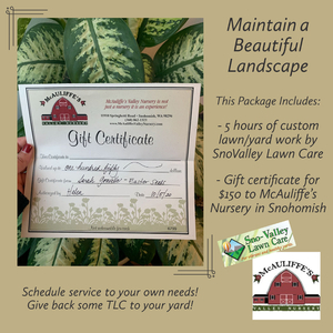 Maintain a Beautiful Landscape!