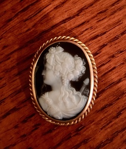 325: Victorian Era Hardstone Cameo Pin