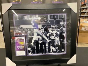 Stefon Diggs Miracle Display