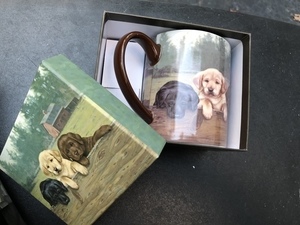 Lab collector mug and decorative box