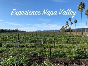 Experience Napa Valley Package