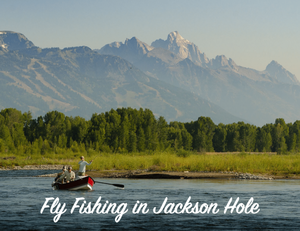 Fly Fishing in Jackson Hole for 2