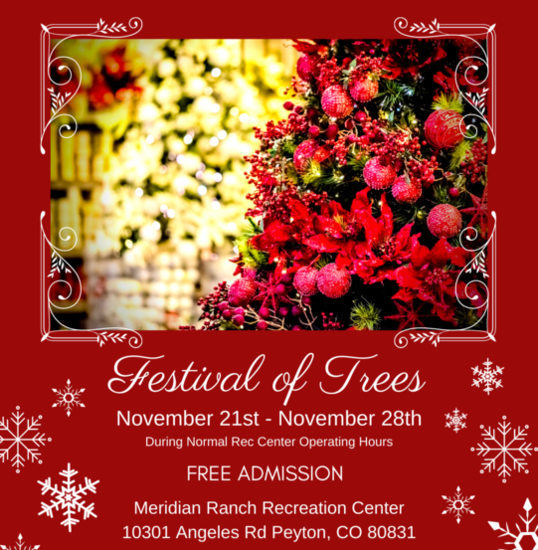 Festival of Trees