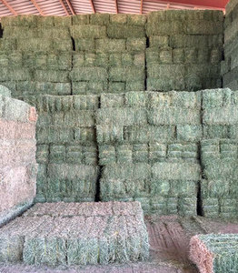 Sponsor our next hay delivery