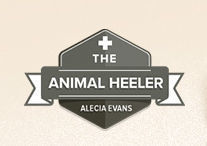 Be Part of an Animal Heeler™ TV Show Episode