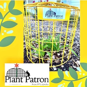 Plant Patron