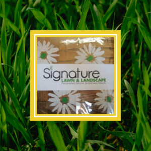 Signature Lawn & Landscape