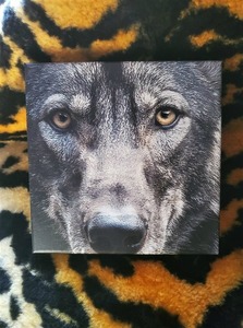 Mini Wolf Canvas