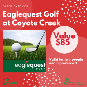 Eaglequest Golf at Cyote Ridge