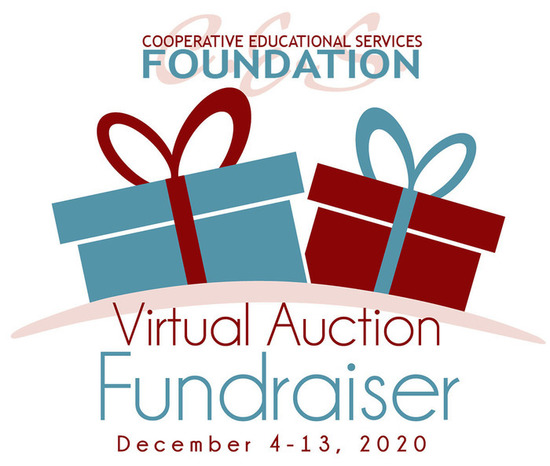 Cooperative Educational Services Foundation