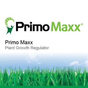 1 Case of Primo Maxx